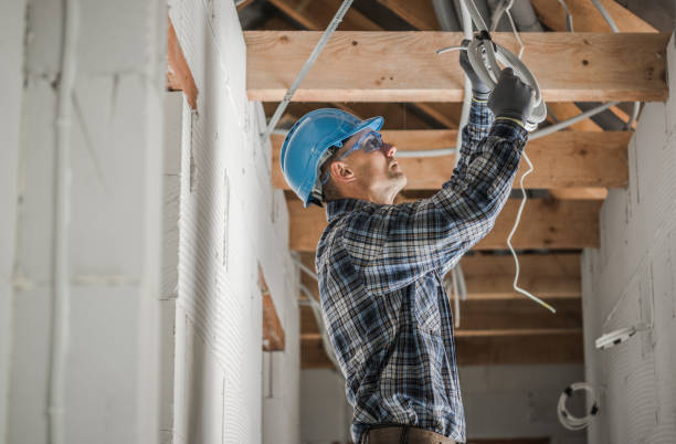Best Electrical Upgrades for Homes  in Ogden Dunes, IN